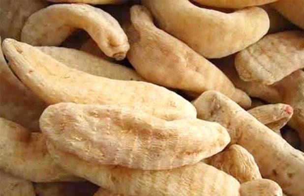 天麻的功效与作用吃法-图1 天麻的功效与作用吃法-图1