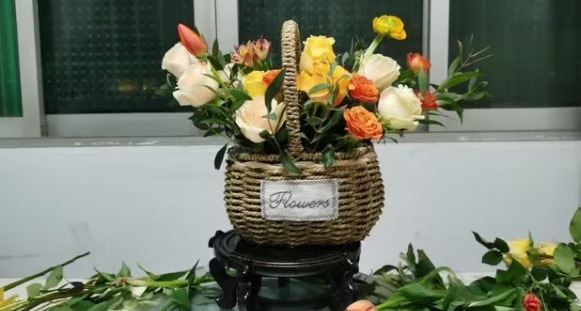 适合女生的十大技能(女生学哪些技能比较好)-图4 适合女生的十大技能(女生学哪些技能比较好)-图4