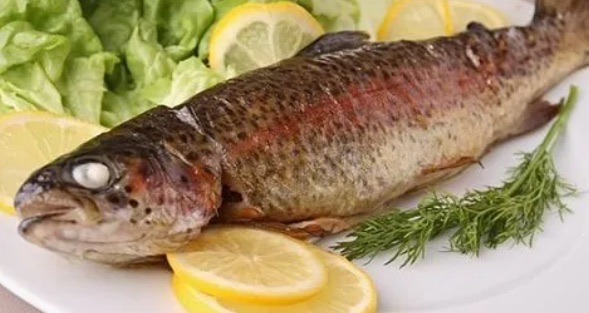 哪些食物蛋白质含量高(高蛋白食物排行一览)-图3 哪些食物蛋白质含量高(高蛋白食物排行一览)-图3