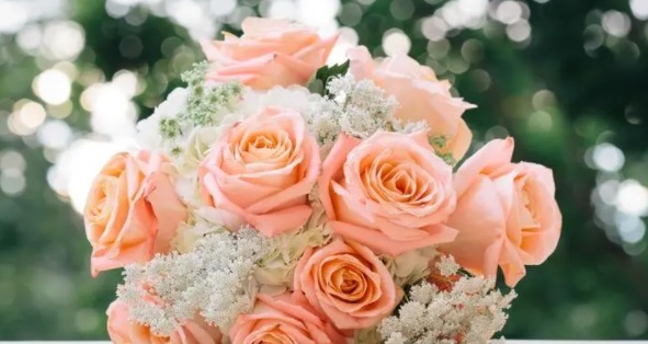 七夕十大礼物排行榜(七夕可以送什么礼物)-图1 七夕十大礼物排行榜(七夕可以送什么礼物)-图1