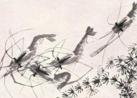 齐白石擅长画什么-图1 齐白石擅长画什么-图1