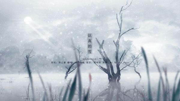 关于雪的最好听的歌曲有哪些-图1 关于雪的最好听的歌曲有哪些-图1