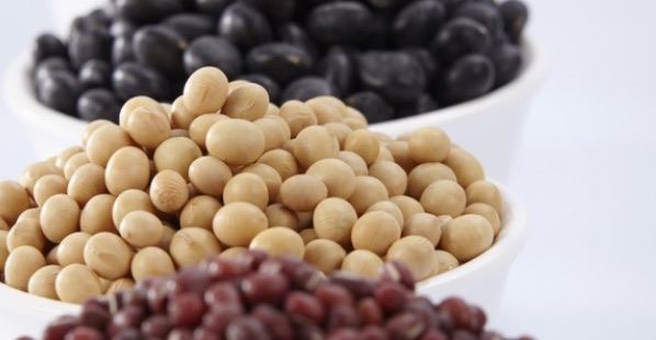 十大补脑的食物排名(坚果类助于提高记忆力)-图4 十大补脑的食物排名(坚果类助于提高记忆力)-图4