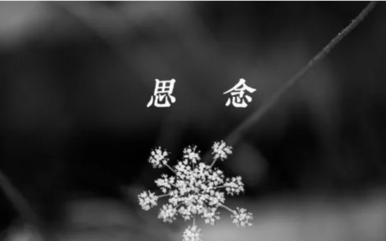 你走过的地方只剩下思念难捱是什么歌?《哪里都是你》完整版歌词在线听歌-图2 你走过的地方只剩下思念难捱是什么歌?《哪里都是你》完整版歌词在线听歌-图2