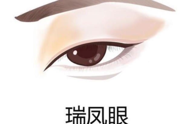 常见的几种眼型,二十种眼形大全图解-图3 常见的几种眼型,二十种眼形大全图解-图3