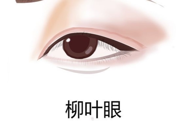 常见的几种眼型,二十种眼形大全图解-图4 常见的几种眼型,二十种眼形大全图解-图4