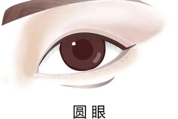 常见的几种眼型,二十种眼形大全图解-图5 常见的几种眼型,二十种眼形大全图解-图5