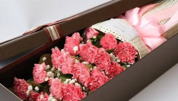 19朵康乃馨代表什么意思,康乃馨的颜色分别代表什么-图2 19朵康乃馨代表什么意思,康乃馨的颜色分别代表什么-图2