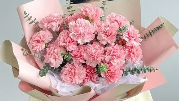 19朵康乃馨代表什么意思,康乃馨的颜色分别代表什么-图3 19朵康乃馨代表什么意思,康乃馨的颜色分别代表什么-图3