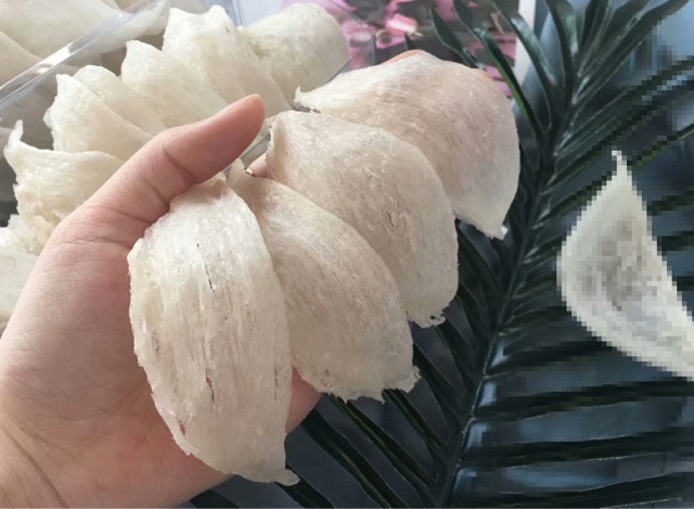 燕窝多少钱一斤-图1 燕窝多少钱一斤-图1