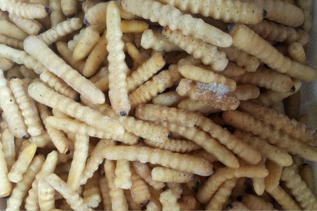 发现柴虫后的处理方法(防虫驱虫有哪些土方法)-图1 发现柴虫后的处理方法(防虫驱虫有哪些土方法)-图1