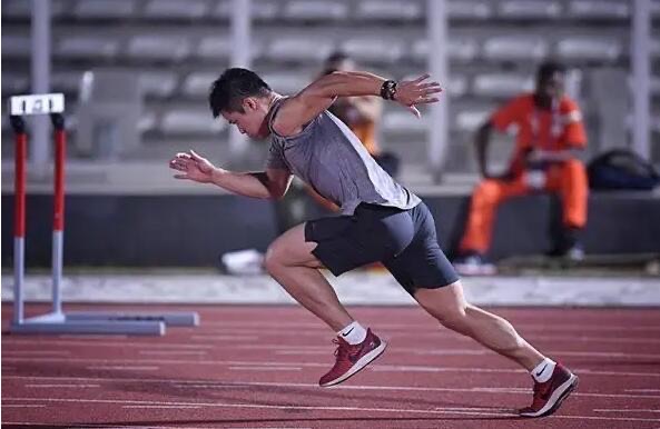 运动员为什么不吃猪肉?-图2 运动员为什么不吃猪肉?-图2