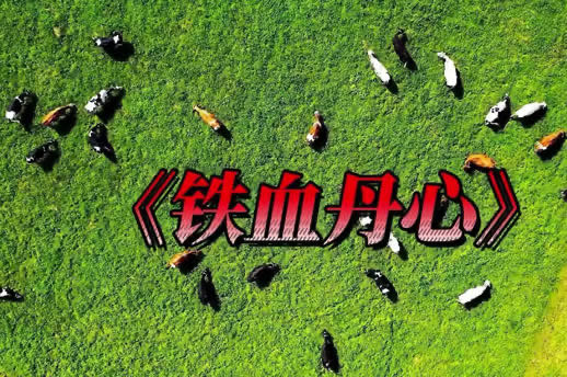 男女对唱经典老歌推荐,ktv情歌对唱歌曲大全100首-图1 男女对唱经典老歌推荐,ktv情歌对唱歌曲大全100首-图1