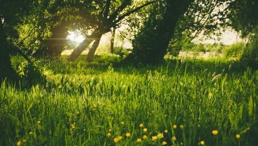 记账凭证账务处理程序,记账凭证自动审核系统的应用及优势-图1 记账凭证账务处理程序,记账凭证自动审核系统的应用及优势-图1