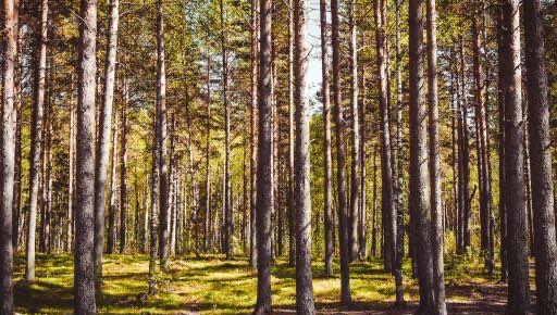 潮州中考,潮州初中生这场考试,你准备好了吗?-图1 潮州中考,潮州初中生这场考试,你准备好了吗?-图1
