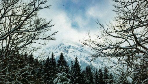 投档线和录取线区别,高考分数线和大学录取分数线有何不同?-图1 投档线和录取线区别,高考分数线和大学录取分数线有何不同?-图1