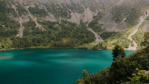 讲一个脑筋大转弯,脑力大挑战:怎样让一只鸟停在你手上新标题:巧妙手段让鸟落于掌心-图1 讲一个脑筋大转弯,脑力大挑战:怎样让一只鸟停在你手上新标题:巧妙手段让鸟落于掌心-图1