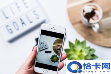 熟地黄可以直接吃吗?熟地黄的食用方法与注意事项-图1 熟地黄可以直接吃吗?熟地黄的食用方法与注意事项-图1