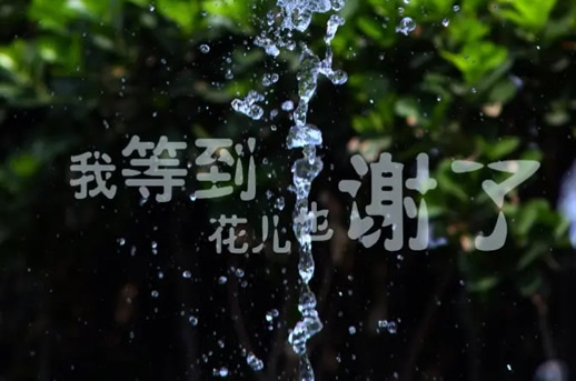 催人泪的10首伤感歌曲,听着悲伤戳中你的泪点-图1 催人泪的10首伤感歌曲,听着悲伤戳中你的泪点-图1