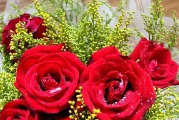 红颜知己是什么意思?朋友(灵魂深刻共鸣的女性朋友)-图2 红颜知己是什么意思?朋友(灵魂深刻共鸣的女性朋友)-图2