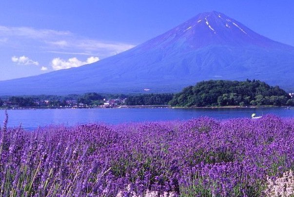 乌托邦是什么意思?空想国家,人人平等按需分配(不真实)-图1 乌托邦是什么意思?空想国家,人人平等按需分配(不真实)-图1