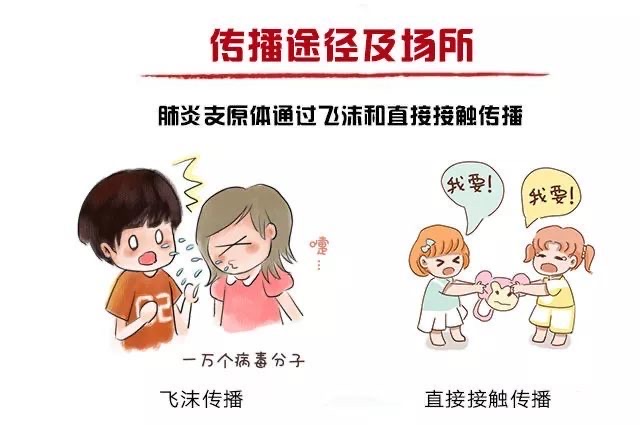 多国儿童支原体感染增加,“行走性肺炎”今年有何不同?-图1 多国儿童支原体感染增加,“行走性肺炎”今年有何不同?-图1