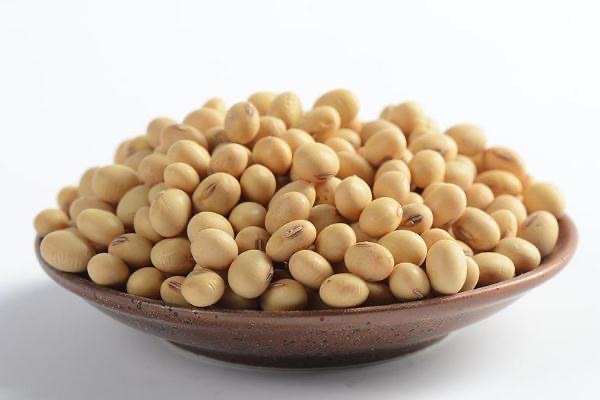 黄豆是毛豆吗?黄豆是凉性还是热性-图1 黄豆是毛豆吗?黄豆是凉性还是热性-图1