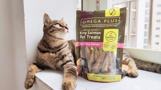 omega?plus小鱼干猫零食是哪个国家的 omega plus小鱼干猫零食怎么吃-图2 omega?plus小鱼干猫零食是哪个国家的 omega plus小鱼干猫零食怎么吃-图2