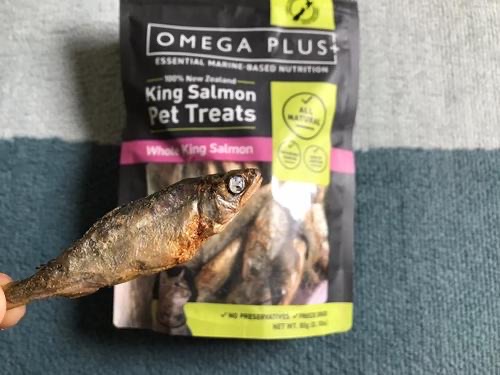 omega?plus小鱼干猫零食是哪个国家的 omega plus小鱼干猫零食怎么吃-图3 omega?plus小鱼干猫零食是哪个国家的 omega plus小鱼干猫零食怎么吃-图3