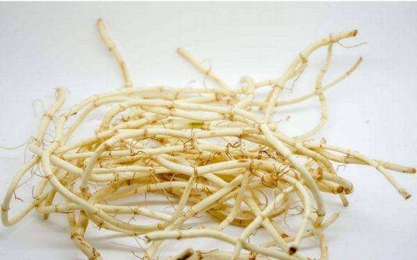 鱼腥草可以怎么吃?吃鱼腥草的方法-图3 鱼腥草可以怎么吃?吃鱼腥草的方法-图3