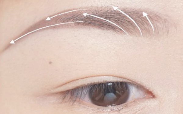 柳叶眉怎么画?柳叶眉的画法-图2 柳叶眉怎么画?柳叶眉的画法-图2