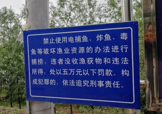 非法捕鱼如何处罚-图1 非法捕鱼如何处罚-图1