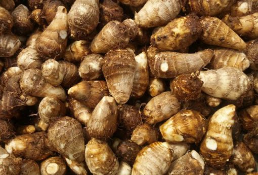 芋头的营养价值?芋头的功效与作用及食用方法-图1 芋头的营养价值?芋头的功效与作用及食用方法-图1