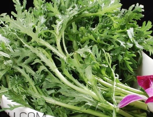 皇帝菜是什么样子?皇帝菜又叫什么菜-图1 皇帝菜是什么样子?皇帝菜又叫什么菜-图1