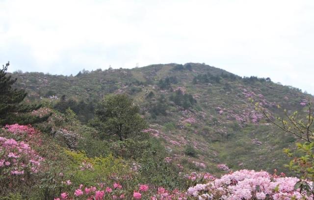 有一种人,到了清明节,不回老家扫墓,跟兄弟姐妹也很淡漠-图2 有一种人,到了清明节,不回老家扫墓,跟兄弟姐妹也很淡漠-图2
