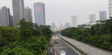 北京限号查询2024年-图1 北京限号查询2024年-图1