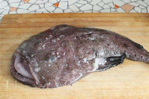 安康鱼是什么鱼?安康鱼的功效与作用-图1 安康鱼是什么鱼?安康鱼的功效与作用-图1