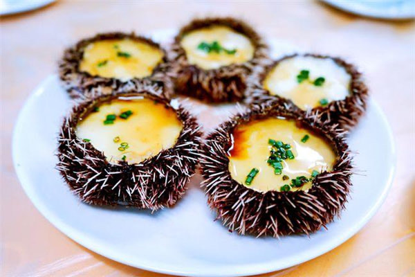 海胆蒸蛋事件?海胆蒸蛋事件最新进展-图1 海胆蒸蛋事件?海胆蒸蛋事件最新进展-图1