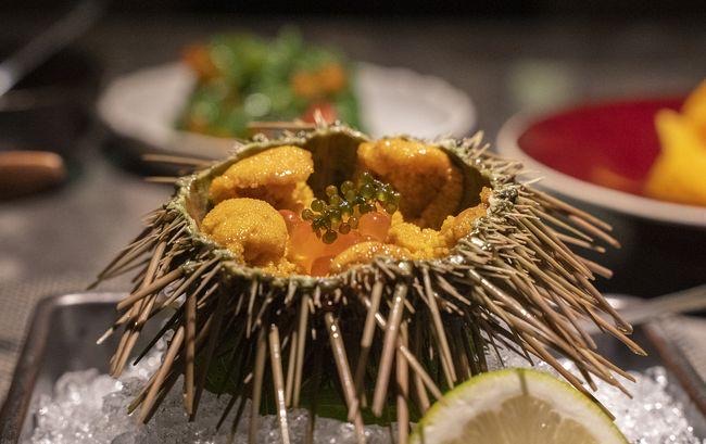 海胆蒸蛋事件?海胆蒸蛋事件最新进展-图2 海胆蒸蛋事件?海胆蒸蛋事件最新进展-图2