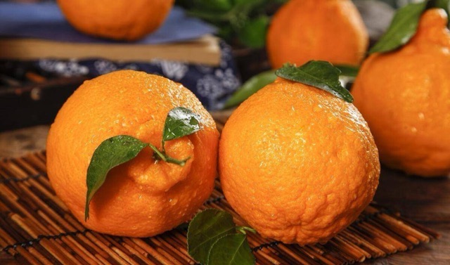 耙耙柑的功效与作用?耙耙柑营养-图1 耙耙柑的功效与作用?耙耙柑营养-图1