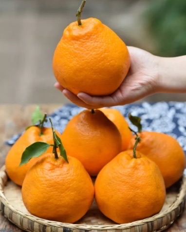 耙耙柑的功效与作用?耙耙柑营养-图2 耙耙柑的功效与作用?耙耙柑营养-图2