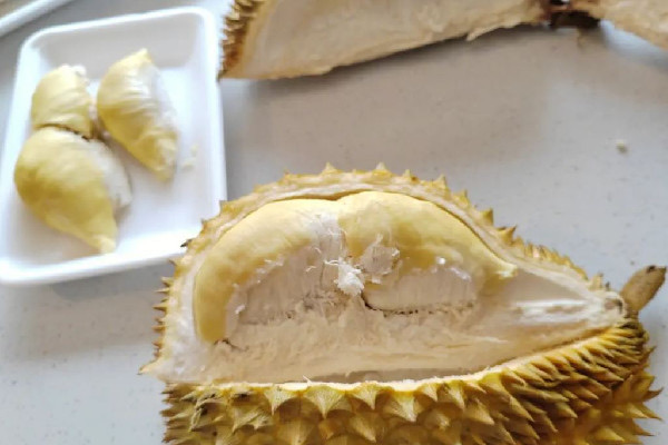 榴莲买回来硬的怎么放才能熟?榴莲怎么催熟比较快-图1 榴莲买回来硬的怎么放才能熟?榴莲怎么催熟比较快-图1