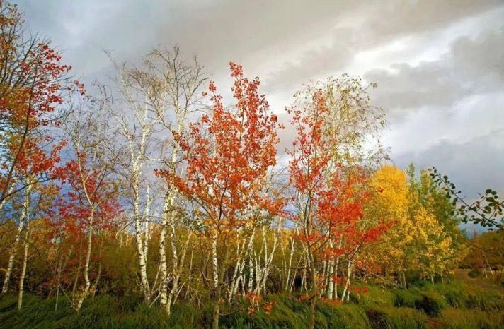 好听的轻音乐排行榜30首?最火的十大治愈系钢琴曲-图2 好听的轻音乐排行榜30首?最火的十大治愈系钢琴曲-图2