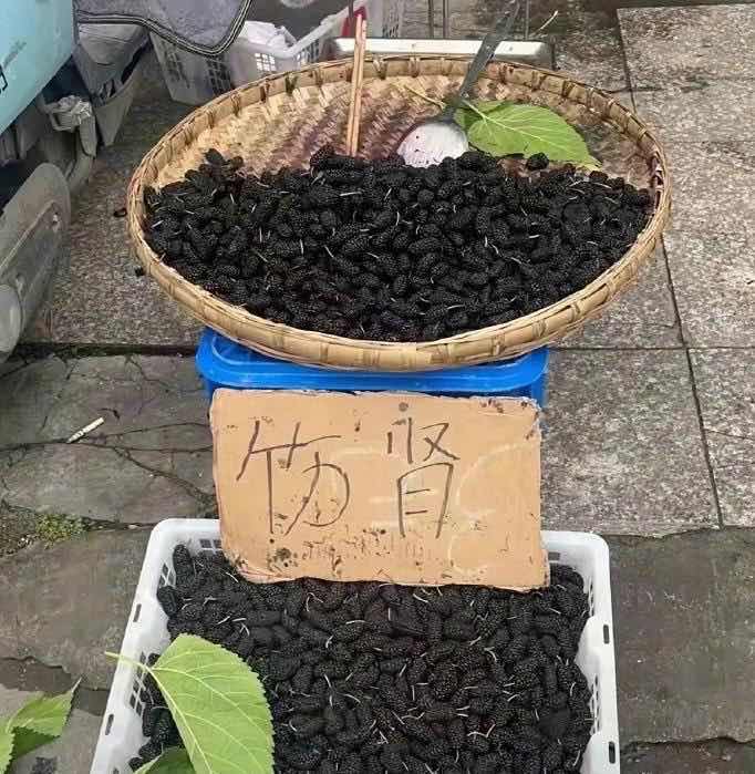 因为谐音卖不出去水果?网友:这些水果真是吃了没文化的亏-图5 因为谐音卖不出去水果?网友:这些水果真是吃了没文化的亏-图5