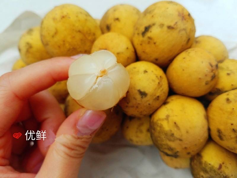 龙宫果的营养价值?龙宫果的功效与作用-图1 龙宫果的营养价值?龙宫果的功效与作用-图1