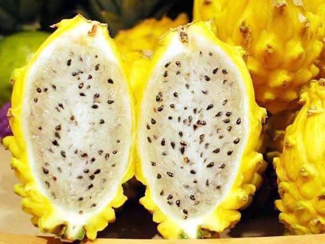 麒麟果的营养价值?麒麟果的功效与作用-图1 麒麟果的营养价值?麒麟果的功效与作用-图1