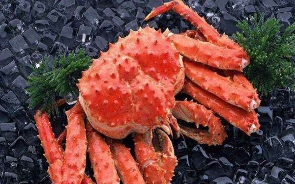 为什么帝王蟹叫帝王蟹?帝王蟹产自哪里呢-图1 为什么帝王蟹叫帝王蟹?帝王蟹产自哪里呢-图1