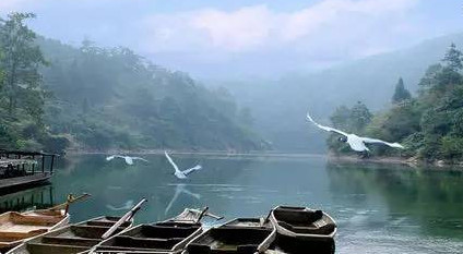 马口鱼能养殖吗?马口鱼怎么养?-图1 马口鱼能养殖吗?马口鱼怎么养?-图1