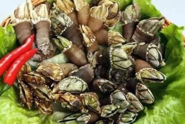 佛手螺怎么吃?佛手螺怎么做好吃-图1 佛手螺怎么吃?佛手螺怎么做好吃-图1