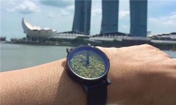 forrest是什么牌子?forrest手表品牌介绍-图1 forrest是什么牌子?forrest手表品牌介绍-图1